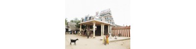 தில்லை காளி - சிதம்பரம் - தமிழ்நாடு